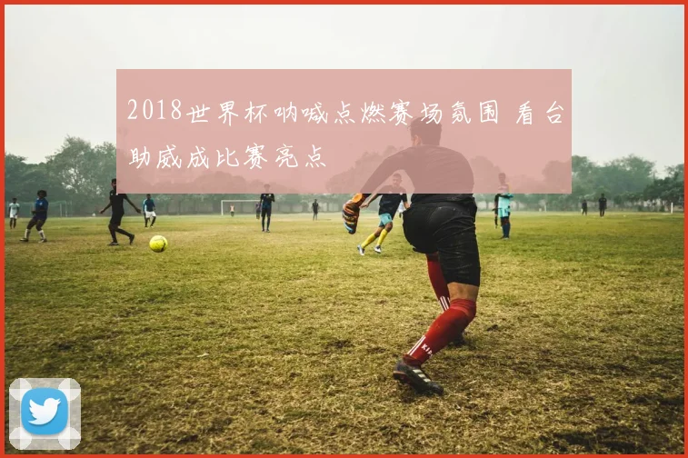 2018世界杯呐喊点燃赛场氛围 看台助威成比赛亮点